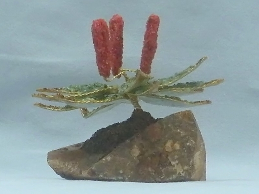 Aloe (± 10 cm) mit Jaspis und Aventurin